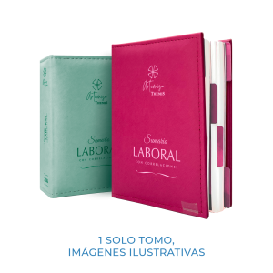 Sumario Laboral Con Correlaciones Artemisa